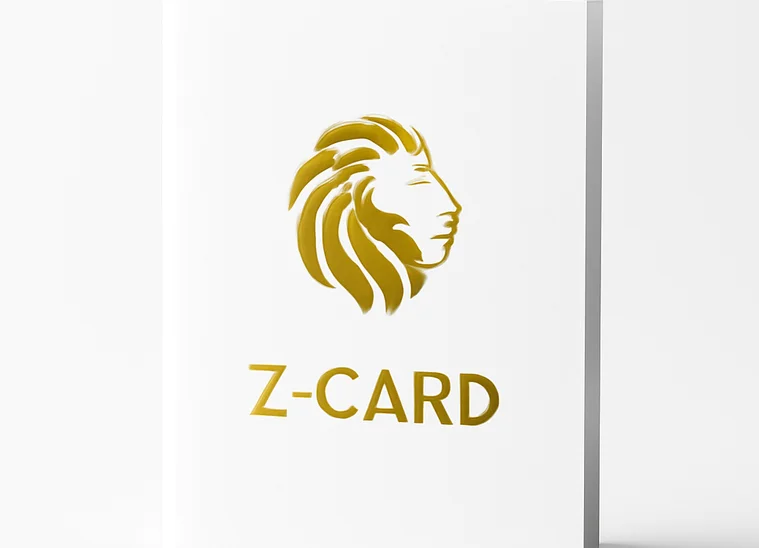 Z-Card буклеты — фото 1